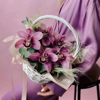 Orchids in a basket