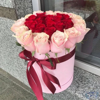 25 red and pink roses in 