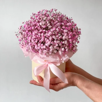 Composition of pink gypso
