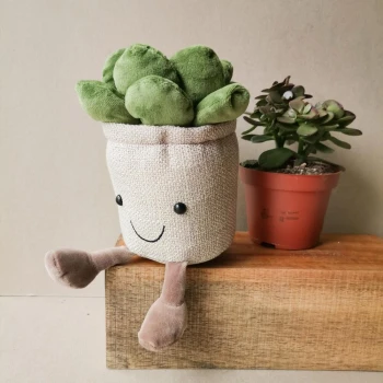 Soft toy "Succulent 